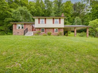 313 Seneker Ln, Blountville, TN 37617