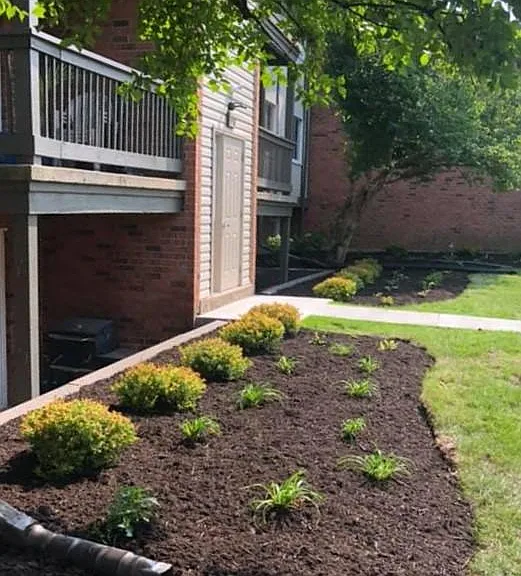 Darlington Court Apartments — Photo 30