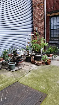 Rented by Signature Property Realty | media 17