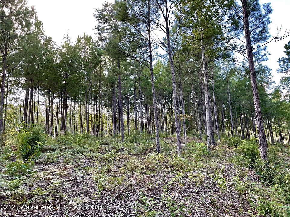 40 Shoreside At Sipsey, Double Springs, AL 35553 Zillow