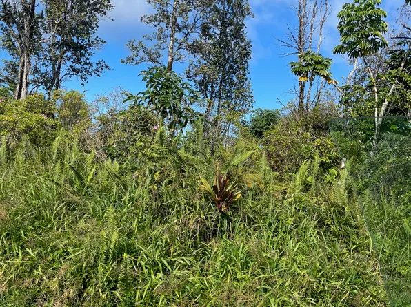 15-2811 Lai St #773, Pahoa, HI 96778