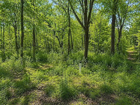 5th image of 1425 Firefly Ln Lot 3