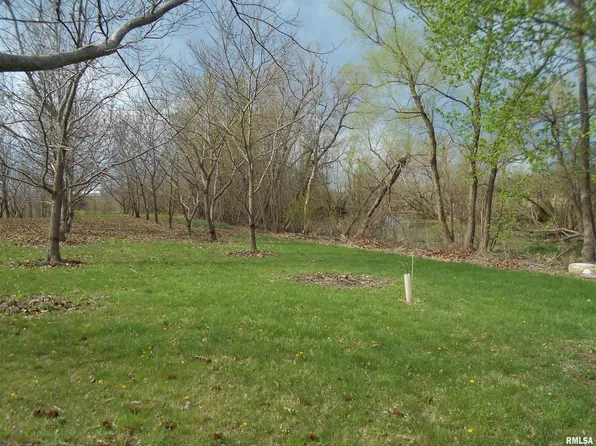 16172 E 100th St, Blandinsville, IL 61420