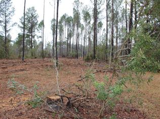 7942 State Highway 122 W, Hahira, GA 31632