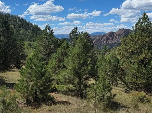 181 Troy Dr, Cripple Creek, CO 80813