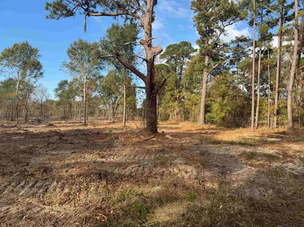 LOT 3 County Road 4108 W, Henderson, TX 75654