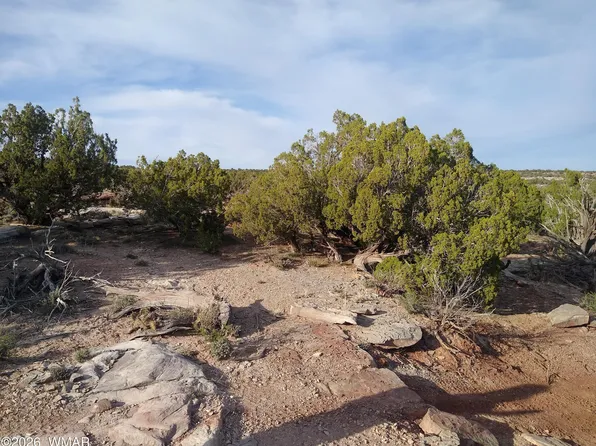 8938 Buffalo Ridge Ln, White Mountain Lake, AZ 85912