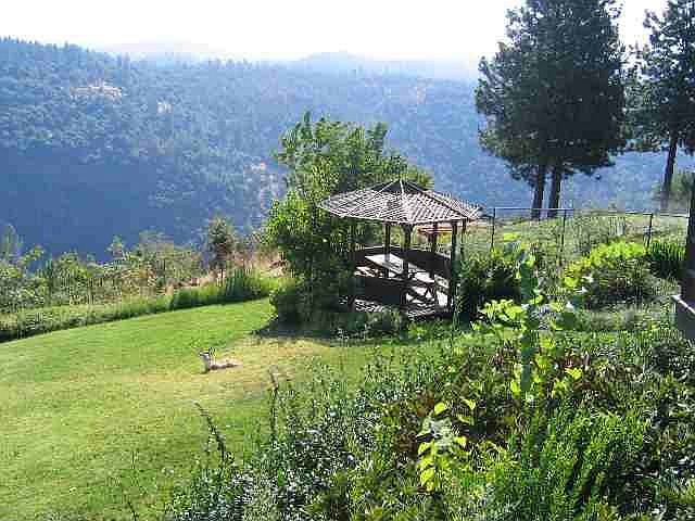 Spectacular Canyon View