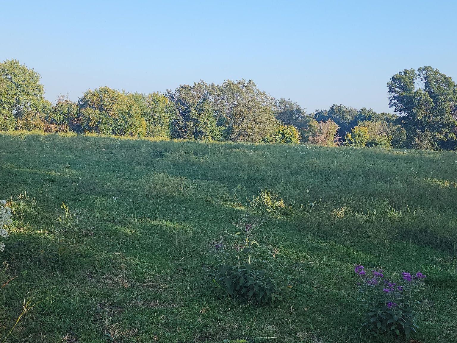 000 Terrier Rd, Stella, MO 64867 MLS 60253139 Zillow