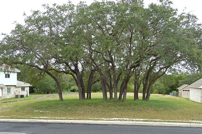 2nd image of 8515 Phoenix Ave