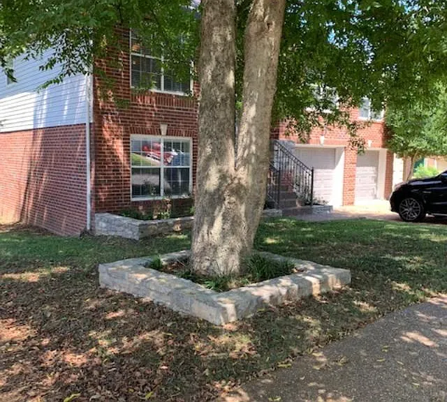 Front yard