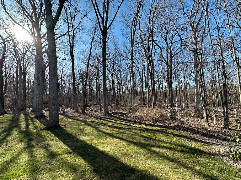Backyard during winter months