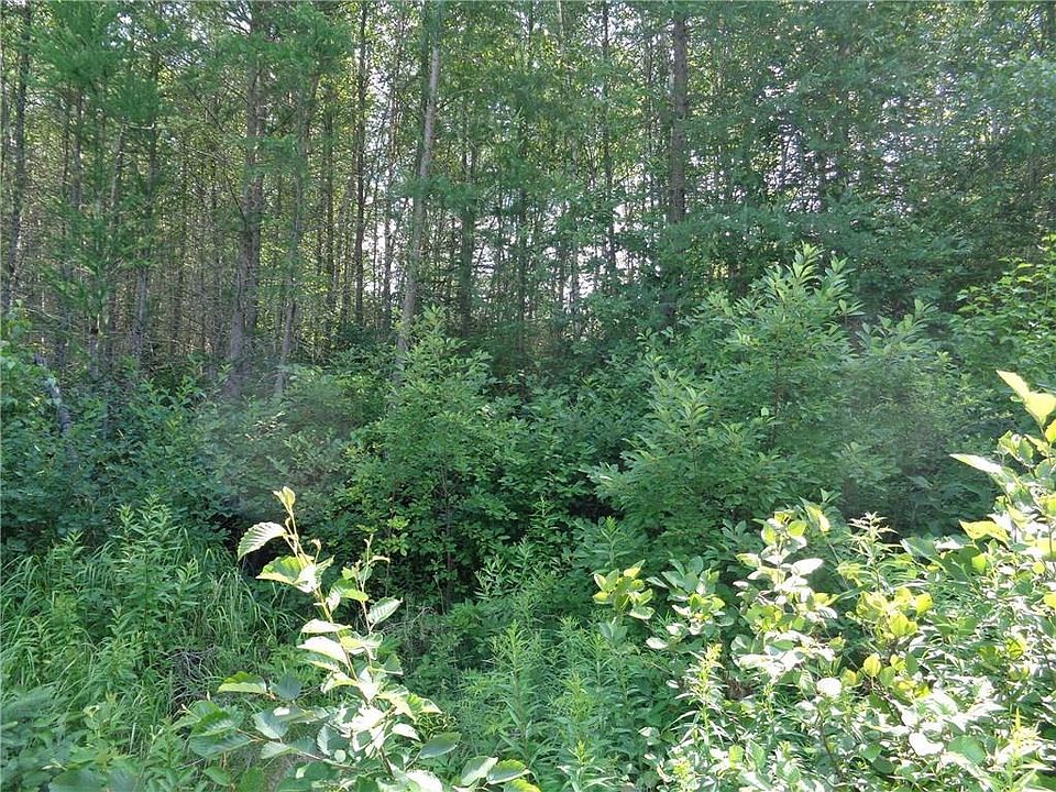 2nd image of 0 Dorman Road
