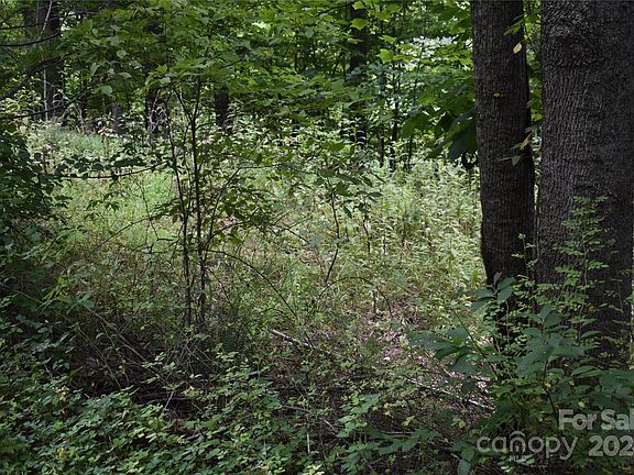 2nd image of 000 Arbuckle Road