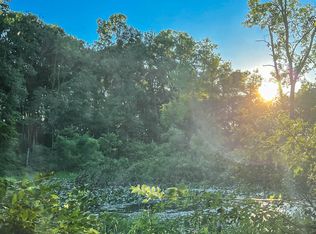 Coon Hollow Rd, Three Rivers, MI 49093