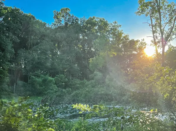 Coon Hollow Rd, Three Rivers, MI 49093