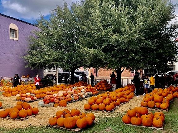 5th image of 703/705 S Main St