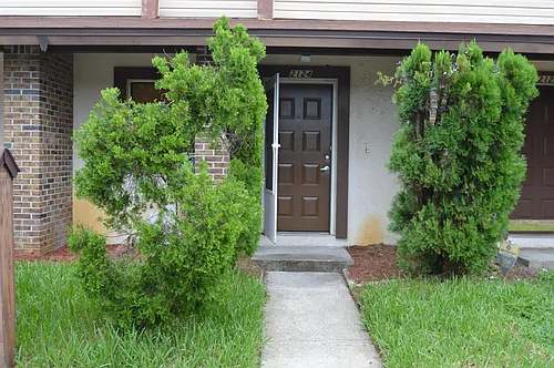 2124 Oak Chace Ct Photo 1