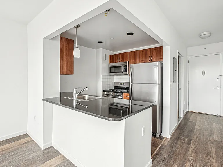 229 Chrystie St #808B — Photo 3
