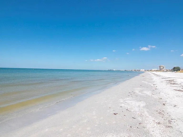 3200 Gulf Blvd #103 — Photo 45