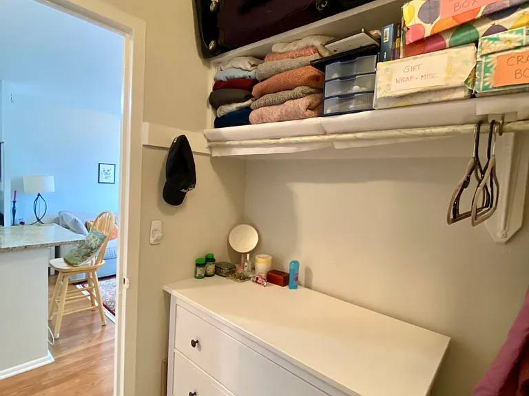 3550 N Lake Shore Dr #423 — Photo 10