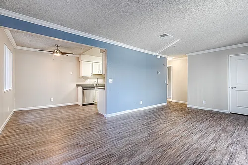 Spring Lake Apartments Photo 1