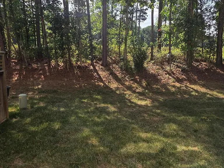 305 Savannah Ridge Rd — Photo 27