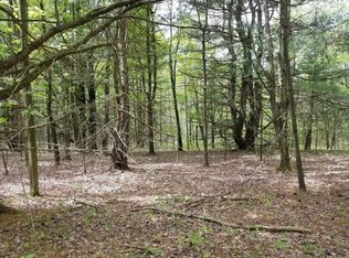 0 Gano Rd LOT 4-DIX, Montour Falls, NY 14865