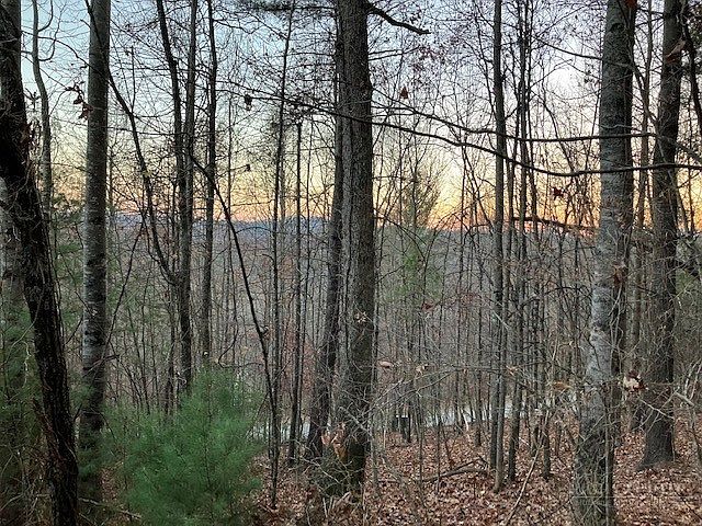 2nd image of TBD Old Deer Trace Road