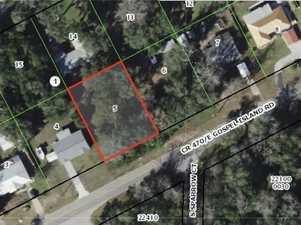 8731 E Gospel Island Rd, Inverness, FL 34450