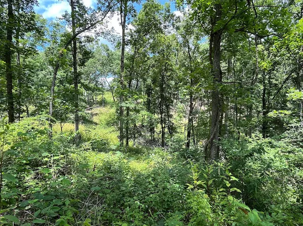 000 Farm Road 1180, Verona, MO 65605