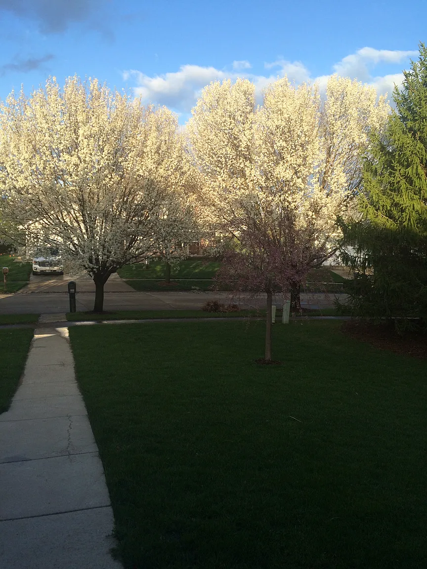 701 Kimela Dr photo 1
