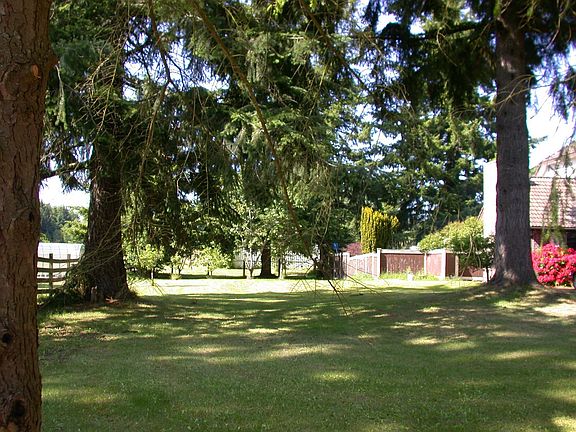 Side Yard Fruit Trees