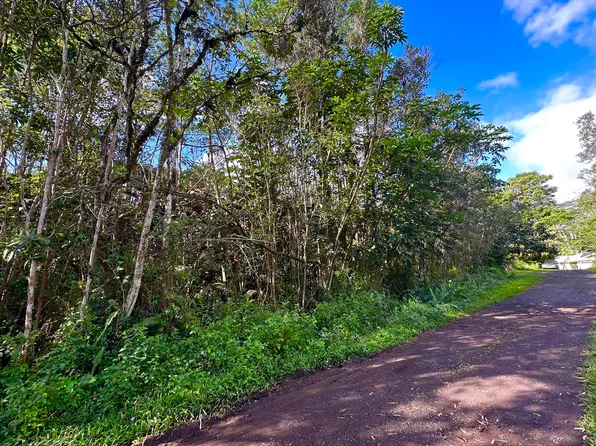Dolphin Ln Lot 136, Pahoa, HI 96778