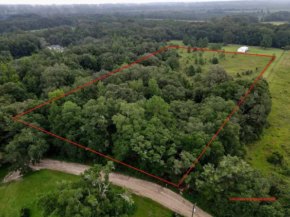 Vacant Ne Thistle Ave, Pinetta, FL 32350