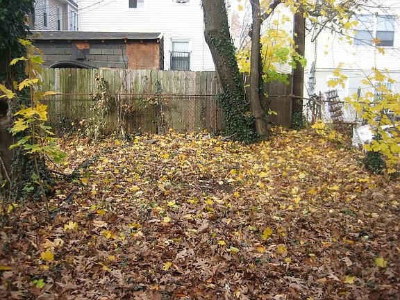Rear Yard