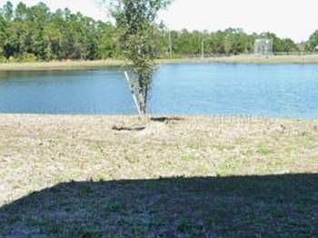 1st image of 2500 Holly Pine Cir