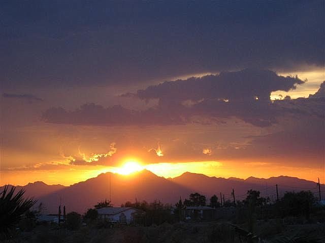 Backyard view