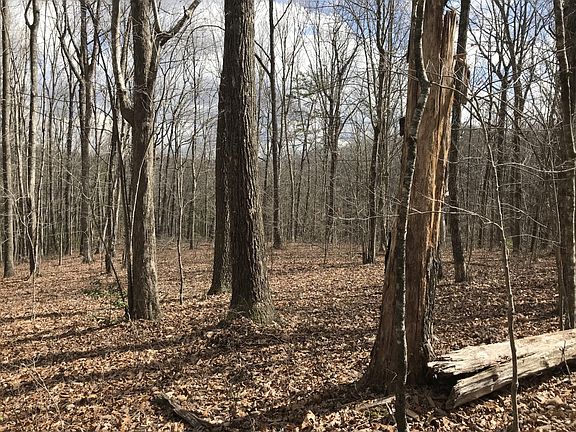 2nd image of 550 Wilderness Way #550