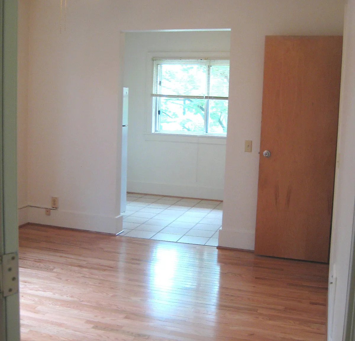 1 bed, 300 sqft, $1,000 — Photo 2
