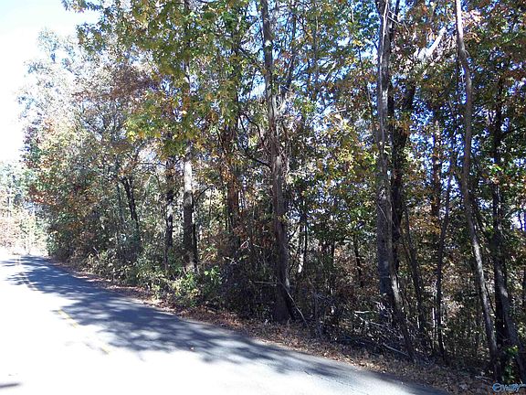 4th image of 18-19 Scenic Hwy