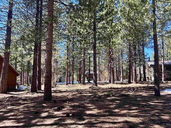 5th image of 14963 Wolfgang Rd