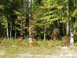 1st image of 0 Freshwater Drive