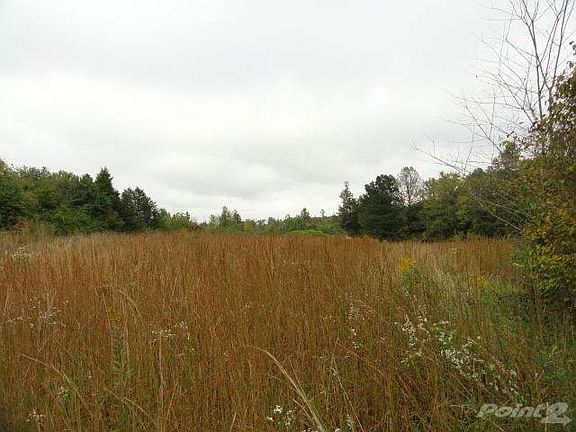 4 - field