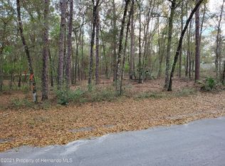 3671 E Peggy St, Hernando, FL 34442