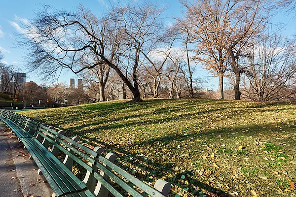 Sold by Sotheby's International Realty | media 23