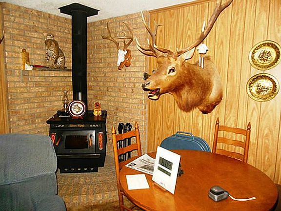 3rd image of 225 County Road 309