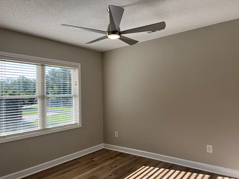 247 Palace Dr — Photo 35