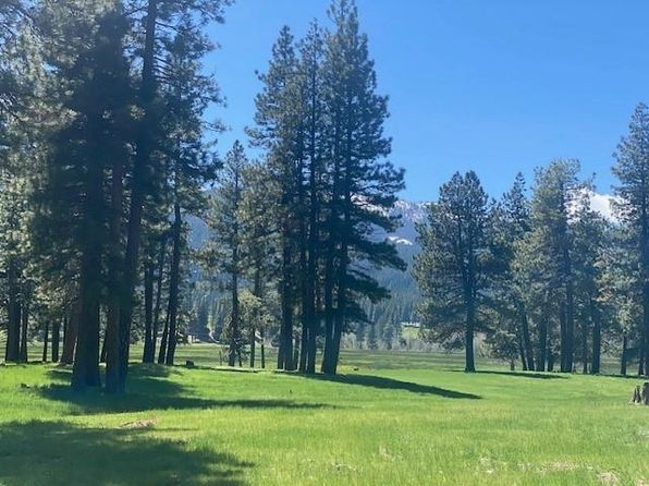 0.74 acres · 581 Redtail Loop Rd, Clio, CA 96106