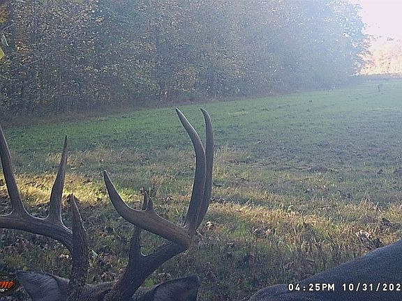 3rd image of 0 Jones Mill Crossland Rd